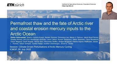 Permafrost Thaw and the Fate of Arctic River and Coastal Erosion Mercury Inputs to the Arctic Ocean